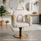 Salon Barber Chair for Hair Stylist, Professional Reclining Hydraulic Styling Chair with Heavy-Duty Pump, All Purpose Hairdresser Chair for Barbershop, Braiding, Shampoo, Spa Equipment, Light Gray