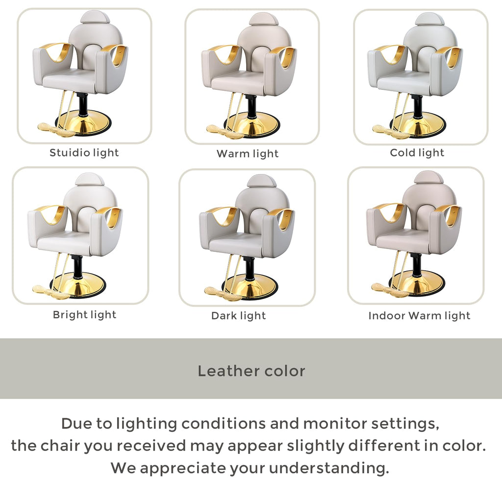 Salon Barber Chair for Hair Stylist, Professional Reclining Hydraulic Styling Chair with Heavy-Duty Pump, All Purpose Hairdresser Chair for Barbershop, Braiding, Shampoo, Spa Equipment, Light Gray