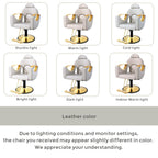 Salon Barber Chair for Hair Stylist, Professional Reclining Hydraulic Styling Chair with Heavy-Duty Pump, All Purpose Hairdresser Chair for Barbershop, Braiding, Shampoo, Spa Equipment, Light Gray