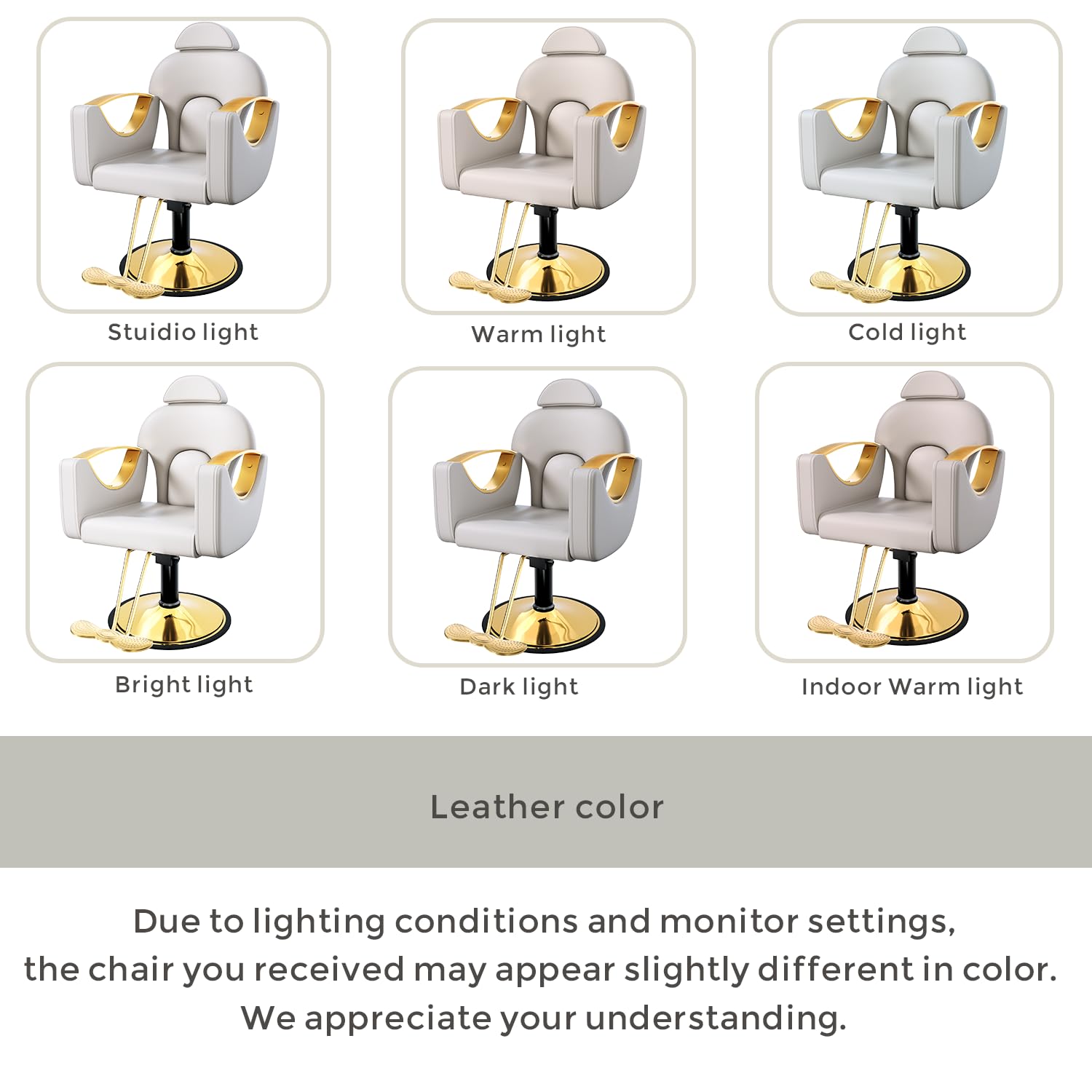 Salon Barber Chair for Hair Stylist, Professional Reclining Hydraulic Styling Chair with Heavy-Duty Pump, All Purpose Hairdresser Chair for Barbershop, Braiding, Shampoo, Spa Equipment, Light Gray