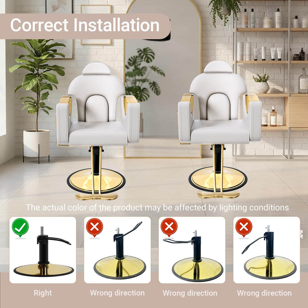 Salon Barber Chair for Hair Stylist, Professional Reclining Hydraulic Styling Chair with Heavy-Duty Pump, All Purpose Hairdresser Chair for Barbershop, Braiding, Shampoo, Spa Equipment, Light Gray